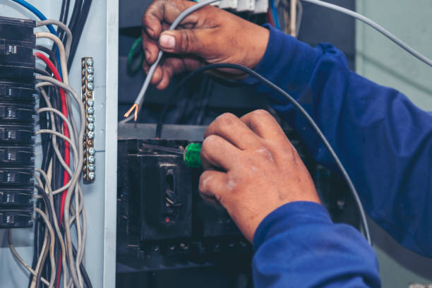 Best Electric Panel Repair  in Highland, IL